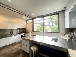 Nassim Park Residences (D10), Condominium #476346201